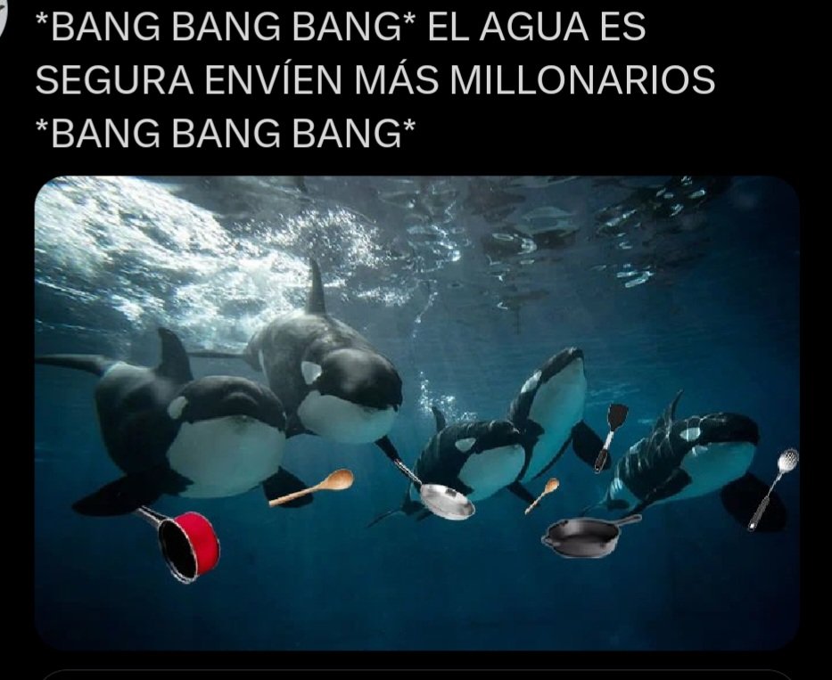 @JWulen Las orcas comenzaron la revolución.