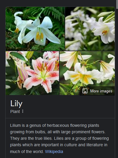 Not lilies but white irises, but the meaning does not change: innocence and  purity. Oh I love him so much!
