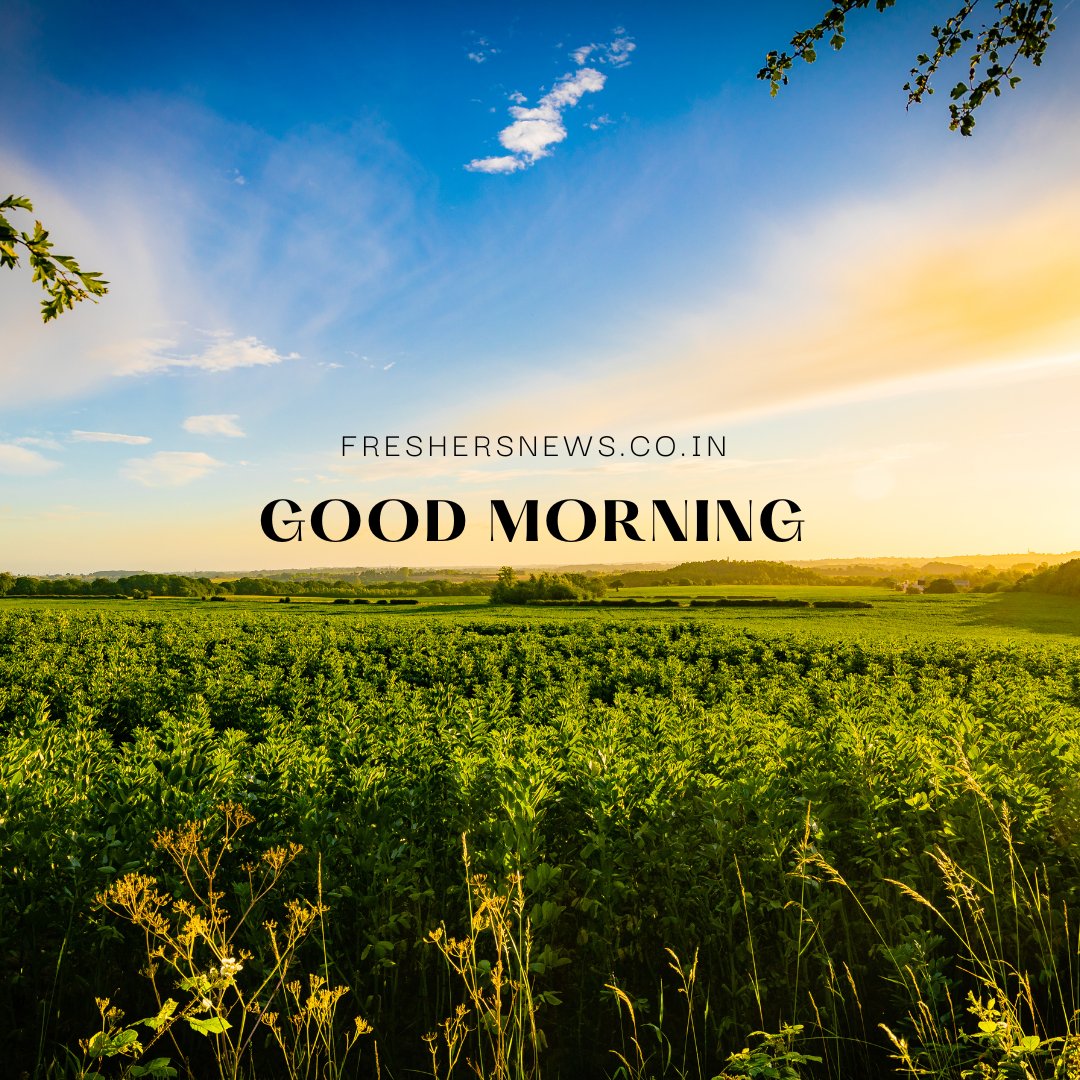 GOOD MORNING 
#freshersnews #goodmorning #morningvibes #funfriday #morningfun