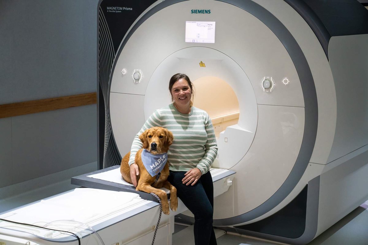 #TakeYourDogToWorkDay:🐾Meet Maple, the goodest boi at NIF's <a href="/Uni_Newcastle/">University of Newcastle</a> - <a href="/HMRIAustralia/">Hunter Medical Research Institute (HMRI)</a> Node.

Maple works with his owner Caroline as a clinical therapy dog, to lend a paw to participants undergoing research scanning. 

Read more: anif.org.au/take-your-dog-…

📷 Mick Ross