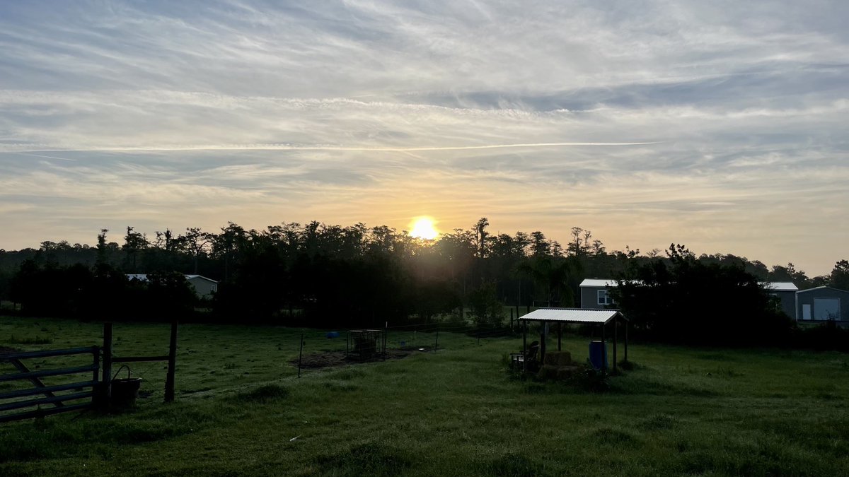 KU5E's tweet image. #snapthesun ⁦@JaymeKingFox35⁩ ⁦@allisongargaro⁩