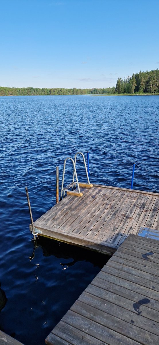 Suzanne Gynnhammar tweet media