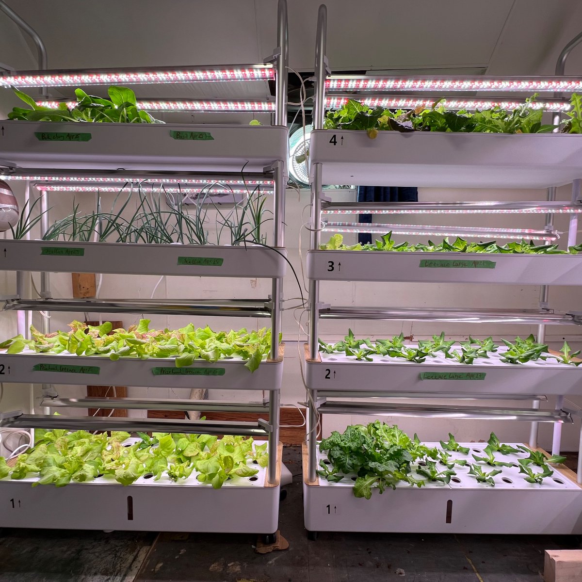 🌿🌱🌱New Product prototype testing!!  #pinnaclefoodinc #verticalfarming #hydroponics #harvest #grow #urbanfarmer #homegardening #vancouver #portcoquitlam #northvancouver twitter.com/messages/compo…