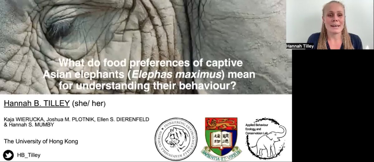HB_Tilley's tweet image. Thrilled to be online for @ISS_ABC #MexicoCity this week with #animalbehaviour talks in #Spanish and #English! Presented preliminary results #elephant food preferences @TigerTopsNepal @AppliedEcoLab #phdchat #phdlife
