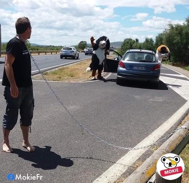 LucienneColli12's tweet photo. @Sheherazade111 Voilà ce qu'on doit leur faire à ceux qui abandonnent leurs animaux 😠 https://t.co/RDXHk0LNjC