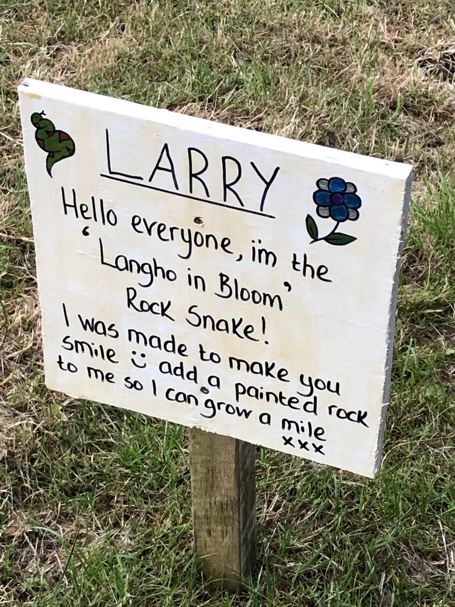 langhoinbloom's tweet photo. Meet Larry blooming heck 🐍 https://t.co/pV1PXHPl8z