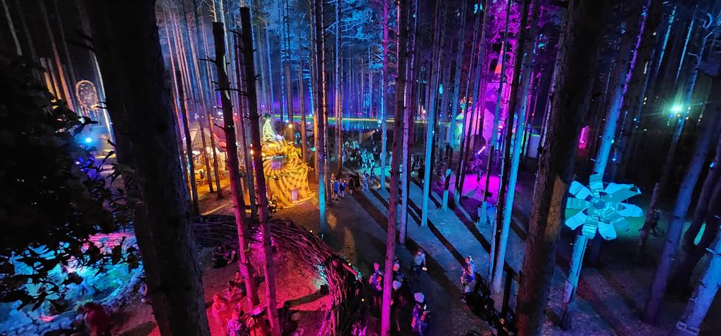 You_so_thirsty's tweet photo. Day 1 of @Electric_Forest is complete 👌 https://t.co/Xf87vU7JwV
