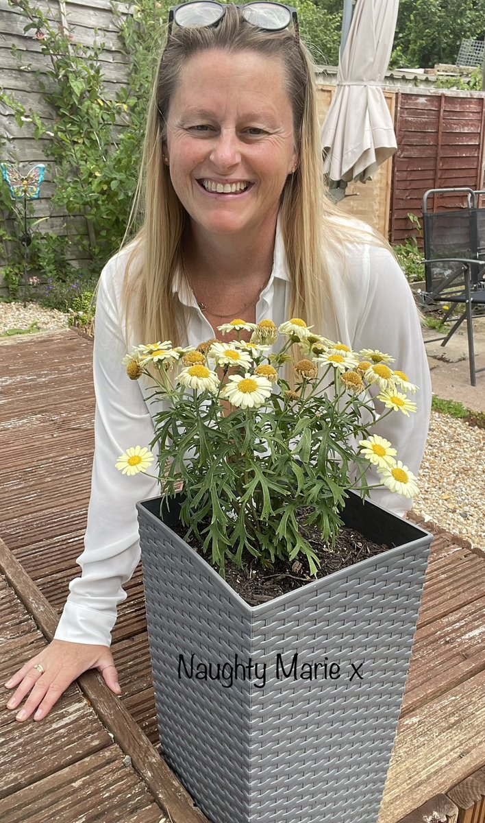 Steve the MILF lover 1️⃣2️⃣K🔞 on Twitter: "RT @naughtymariex: RT the hell out of this for me to