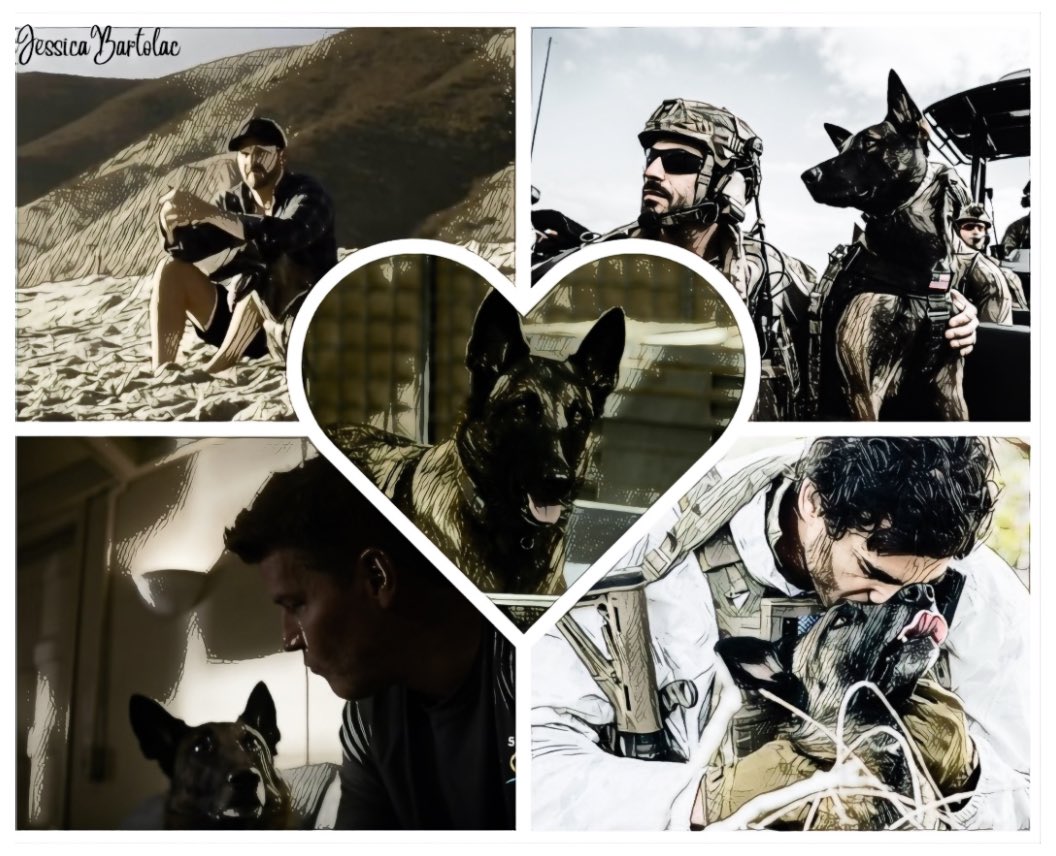 Cerberus/Dita Love.  #Sealteam #bravoteam #sealteambravo #sealteamparamountplus #cerberus #cerby #workingdogs #k9 #servicedogs #military #navyseals #JustinMelnick #brockreynolds #ditathehairmissile #cerberus #Davidboreanaz #JasonHayes