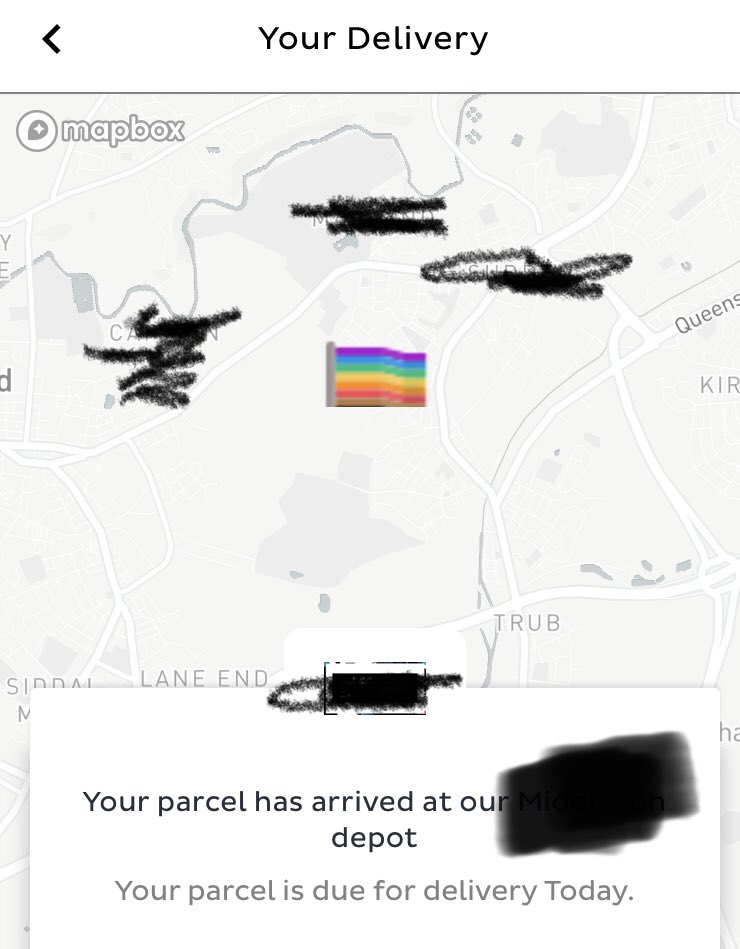 Thehiddenonne's tweet image. DPD UK this is extremely tacky and not everyone wants to see this pride flag replacing the car extremely offensive to religious groups you didn’t change the car for any other purpose @DPDCare @BadLawTeam #boycottDPD pushing this agenda on people there’s no pride in degeneracy