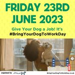 Photo by BringYourDog2WorkDay (@BringDog2WorkUK)