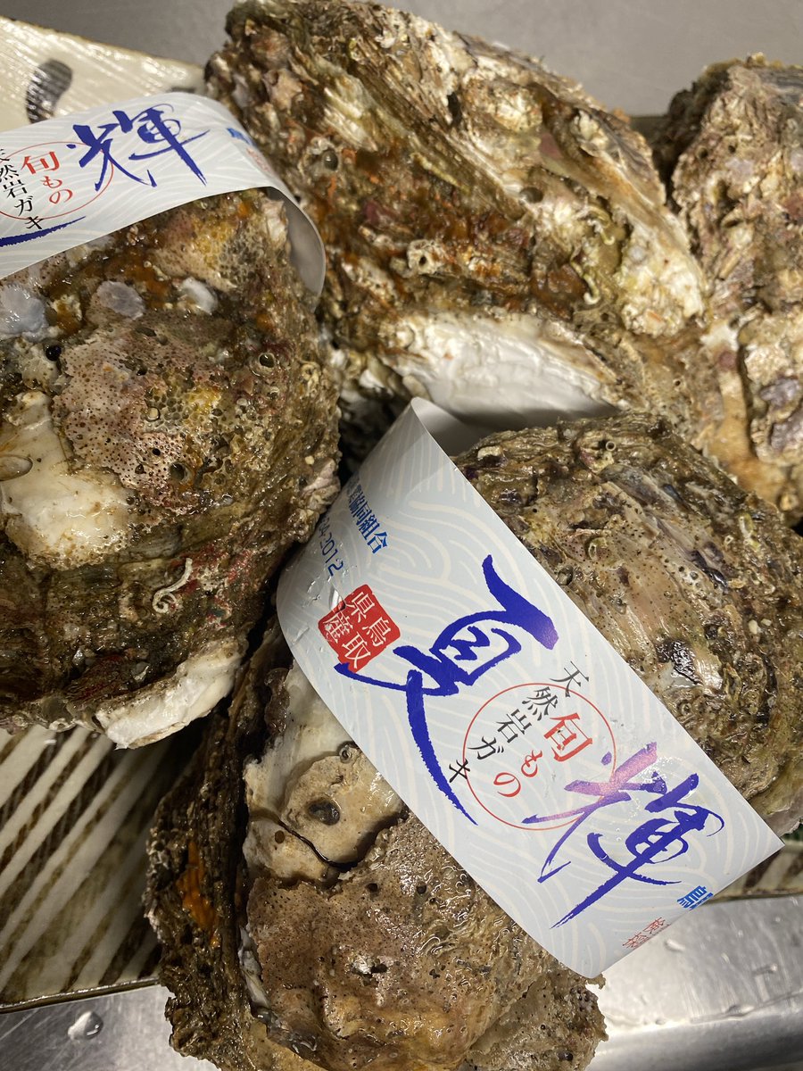 shunsai_murata's tweet photo. 6月23日(金)本日の献立です!
鳥取県のブランド岩牡蠣
【夏輝】ボンベサイズありますよー🦪
娘のような友だちが周年祝いにこんなケーキをくれました☺️
40億の賞金首になりましたw
#aliveonly https://t.co/hmGK2lF1pE