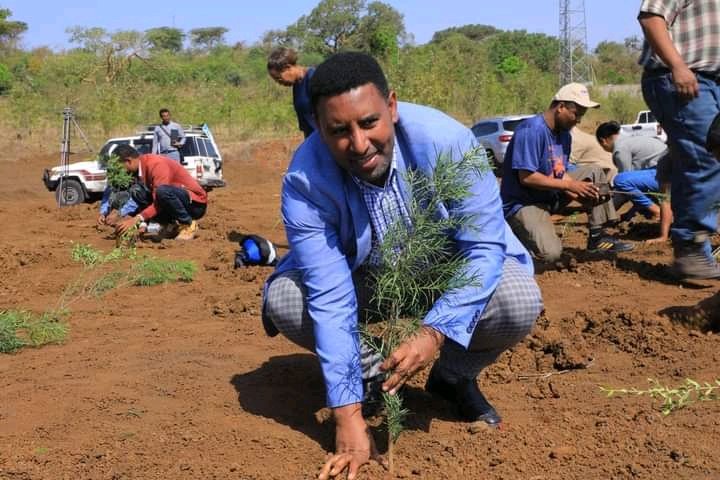 Hailemariam_Kef's tweet photo. A young boy saw an 80 years old man planting a seedling that gives fruit 40 years latter.He neared &amp; asked why he laboured for he never eats.The old man replied, 'In all my life I ate my ancestors planted.I have to pay,I plant for next generation".
LET'S PLANT TODAY FOR TOMORROW. https://t.co/ByjQR7dvc0