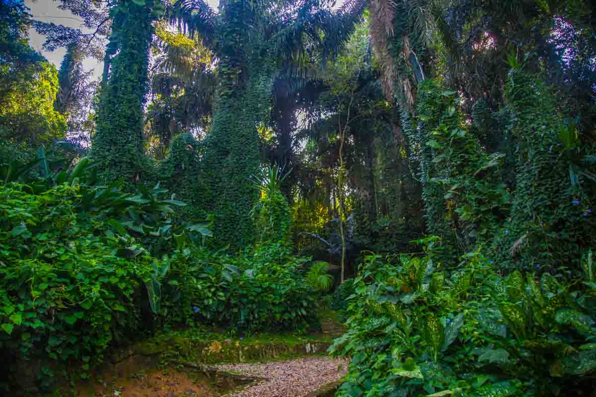 When u ever feel low,
1 of the things u can do is spending time in a beautiful #naturalenvironment 
#Nature is a therapy u can't compare to anything else
#walk #relax #breathefresh #watchbirds 
#EntebbeBotanicalGardens has high quality natural beauty 
#ExploreUganda
📸Courtesy