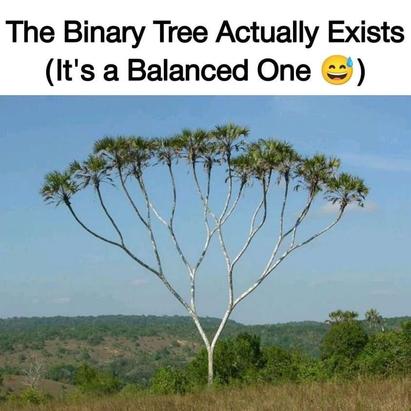 Friday Developers Fun 🤣

It exists!

#developers #softwareengineering #meme #fridayhumor