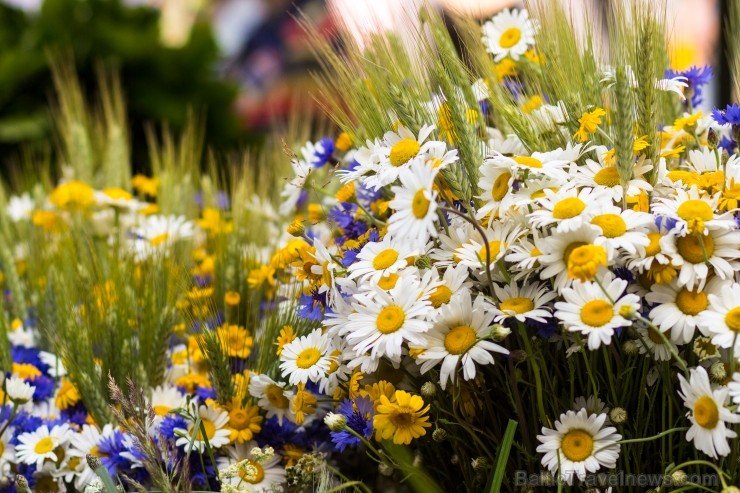 🌼Lustīgu Līgošanu un jestru Jānošanu!
Dabas enerģijas piepildījumu un lielisku noskaņojumu, lai skaisti un droši svētki!