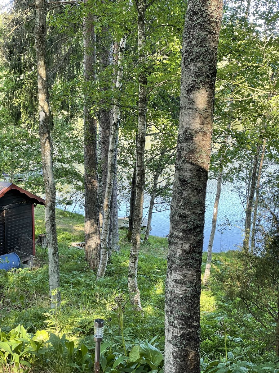Näkymä huussista Sidsbackaträsketille. Hyvää juhannusta Pohjasta☀️
