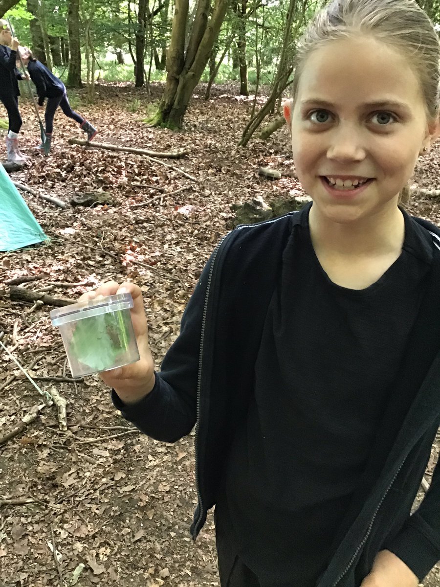 PipersForestSch's tweet image. Year 5 Forest Day! @PipersPrep #summer #pipersoutdoors #pipersgrounds #forestfun