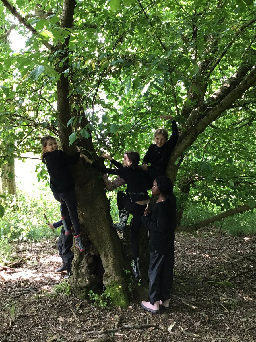 PipersForestSch's tweet image. Year 5 Forest Day! @PipersPrep #summer #pipersoutdoors #pipersgrounds #forestfun