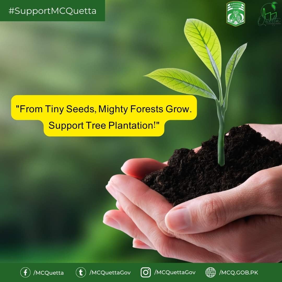 baloupdates's tweet photo. From Tiny Seeds, Mighty Forests Grow. Support Tree Plantation! Let's join hands to make #Quetta greener and cleaner! #SupportMcQuetta #QuettaCity #ShahzadaDawood #titanicsubmarine  #TreePlantationQuetta #CleanAndGreenQuetta https://t.co/DoaWY6nD3E