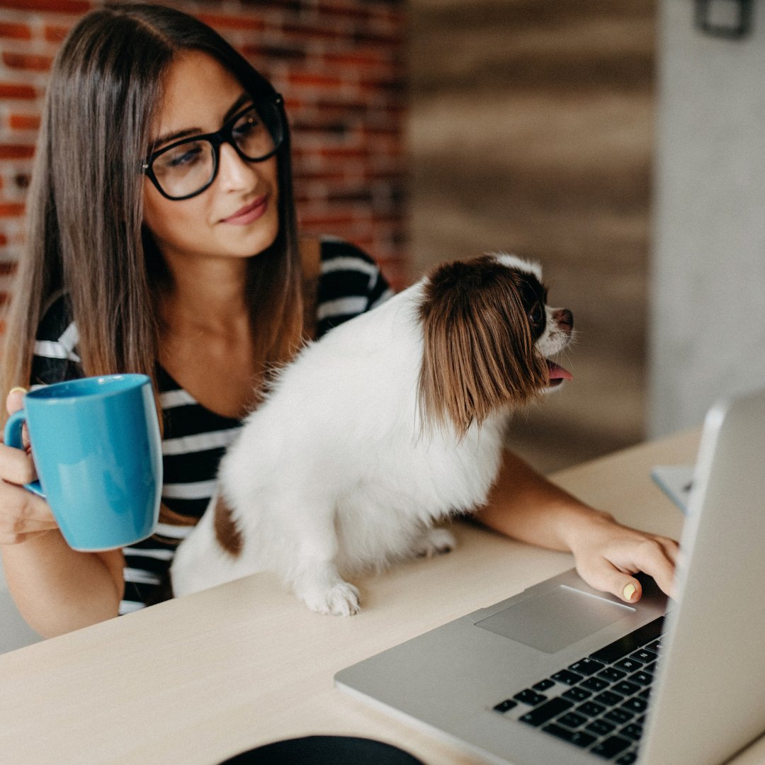 VoyagerLifeUK's tweet photo. It's Bring Your Dog to Work Day!
Our pet range? All based on hemp seed oil, Amongst other things, it's great for your pets' coats, joints, digestive system and anxiety.
#voyagercbd #chooseyou #dogatworkday #bringyourdogtoworkday #bringyourdogtowork #doganxiety #sustainable https://t.co/QpBMFyo30K