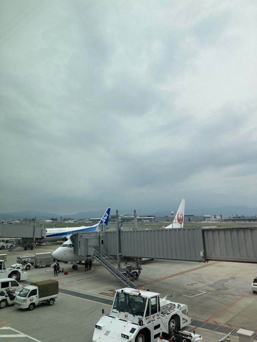 福岡空港なう✈️