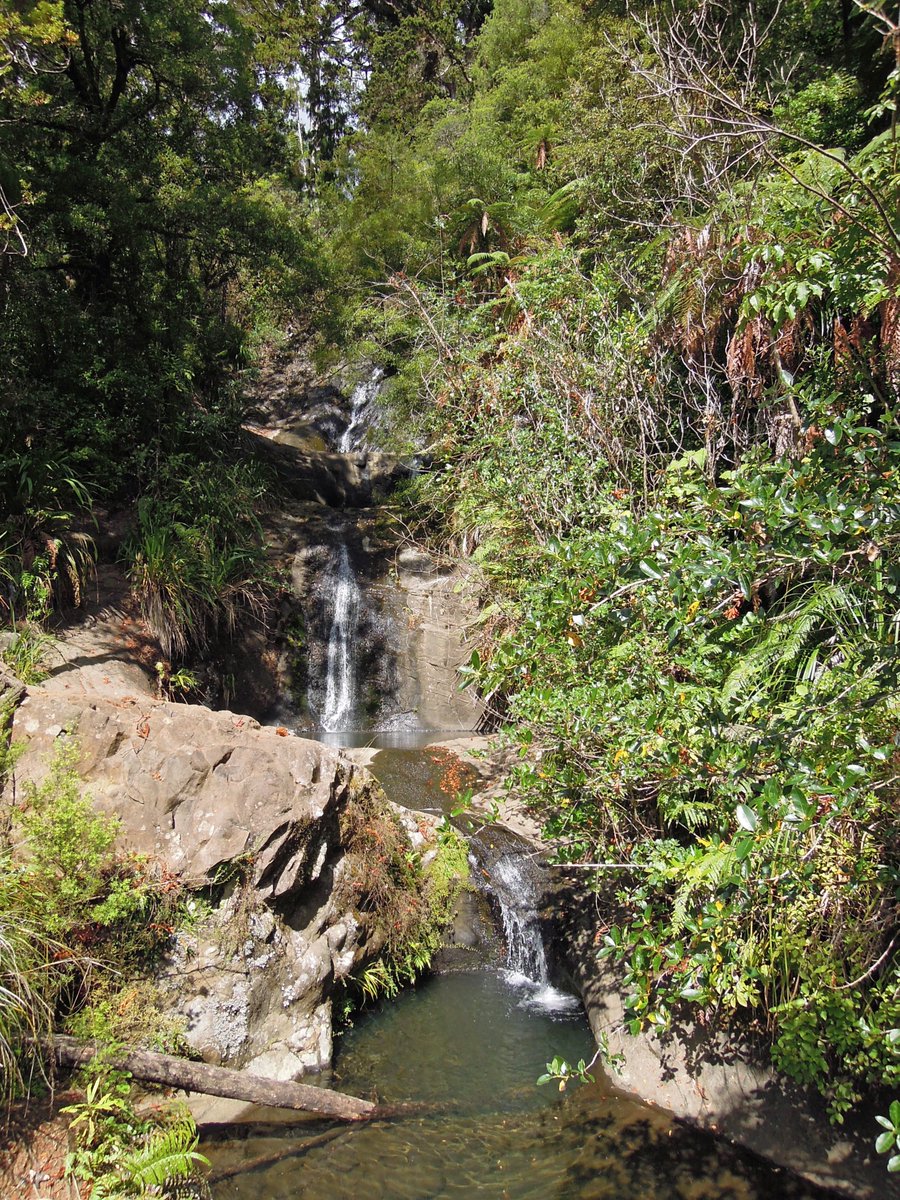 michashikes's tweet photo. Fairy Falls in the Waitakere Ranges, Aotearoa New Zealand
#hikingadventures #hiking #outdoors #naturephotography #nature #waitakereranges #aotearoa #newzealand #waterfall #bush https://t.co/BeLGbJjrHZ