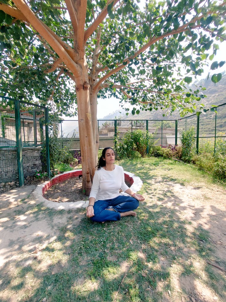 I pay my Gratitude to @SadhguruJV
Ji for initiating me into powerful intense life transforming yogic practices. Words cannot explain the transformation ,beauty and Grace of Yoga . Pranam 🙏🪷
#YogaDay #InternationalDayofYoga2023