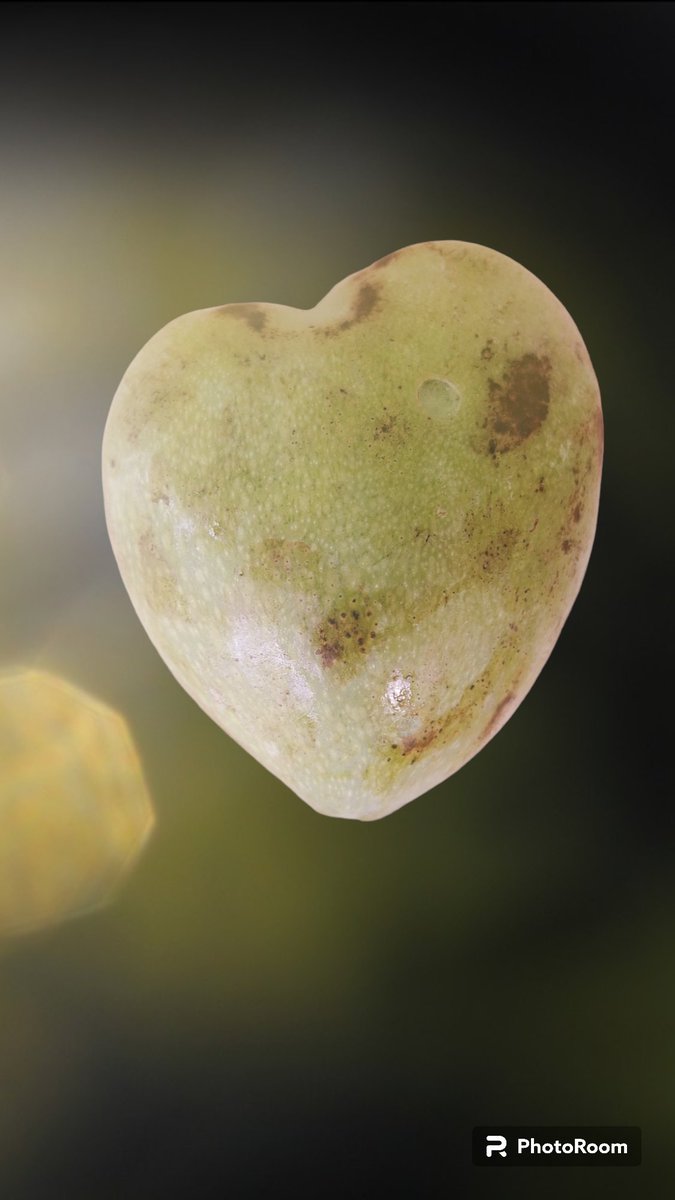 Gak sengaja beli mangga manalagi kok bentuknya seperti ini. 

Mungkin ini pertanda alam, banyakin cinta and sayang, kurangi benci and marah-marahan.

Salam mangga dari saya utk kawans semuahh.