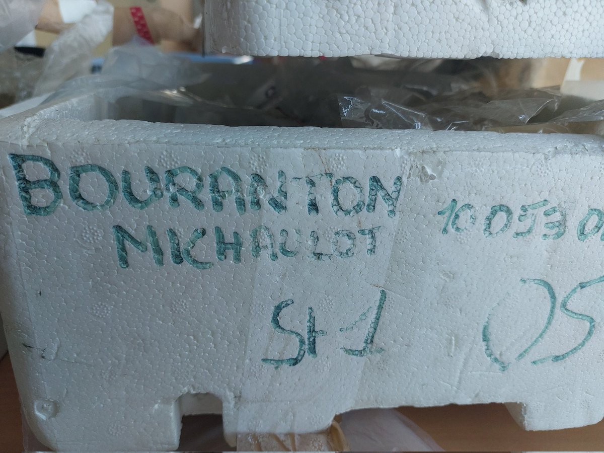 vdelattreinrap's tweet image. Retour vers le futur...
#afan #tombeachar #guerrier
@Inrap