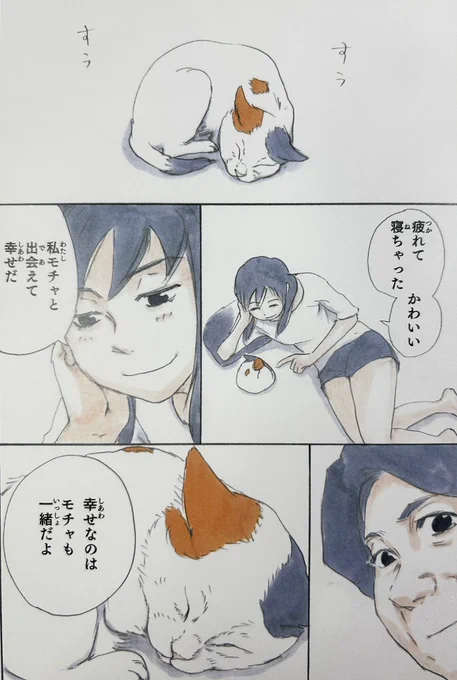 『拾い猫のモチャ3』より