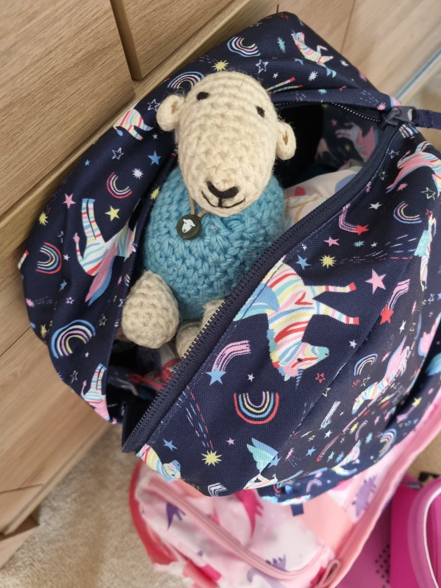 Humans are packing! Best hide myself in the human lamb's bag... #StowawaySheep