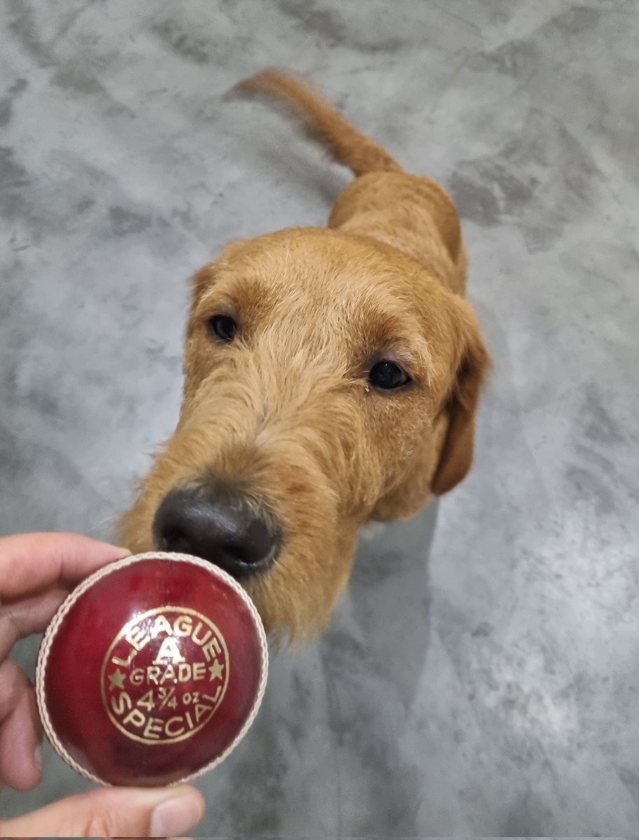 BLOCKCHAIN RECLAIM 🏆🏅 tweet media