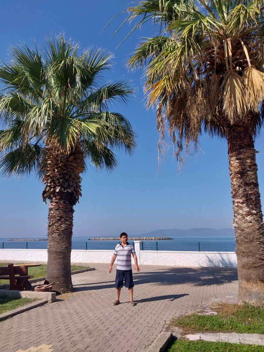 Yazlık bahçesinde gezinti 23/06/2023 saat 9.30