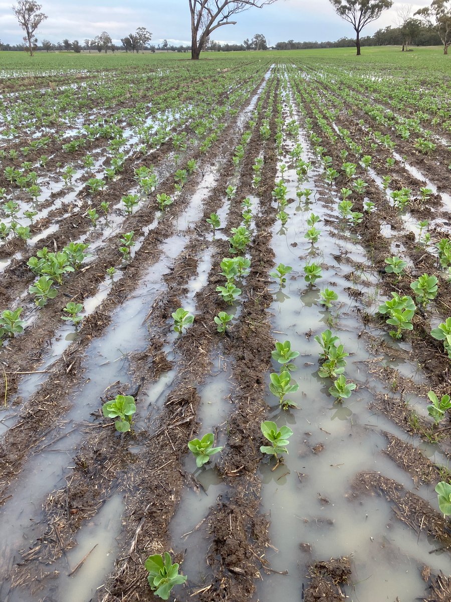 Sam Shields tweet media