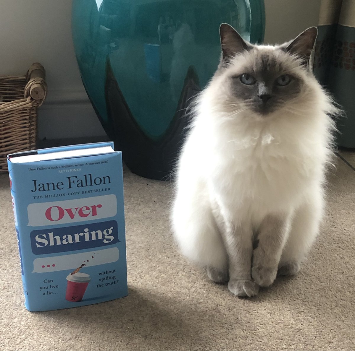 Well, @JaneFallon, Molly has graciously taken time away from her busy schedule to promote the arrival of your shiny new book. She is looking forward to the lap time that will become available while I am reading it! #PromoPets #OverSharing
