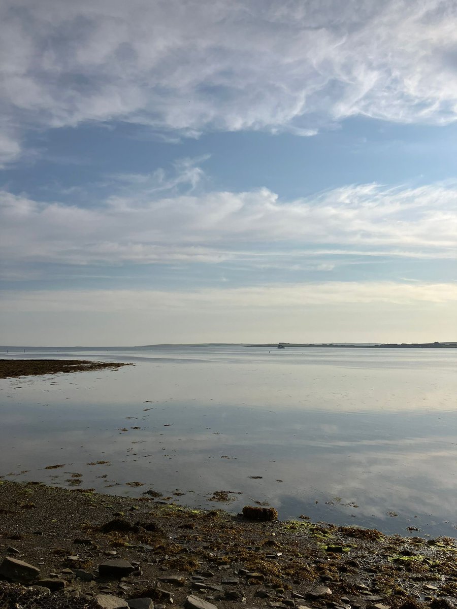 05:15 alarms are pretty brutal (because I want to make the most of the light evenings too) but views like this during the morning runs are keeping me #feelinghappy 🥰 #orkney #beautifuleveryday