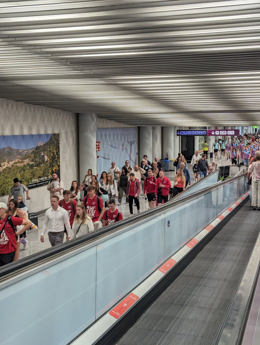 Han arribats les seleccions nacionals de balconing <a href="/Botquebota/">Federació Balear de Balconing</a> @SebastiaAntoni