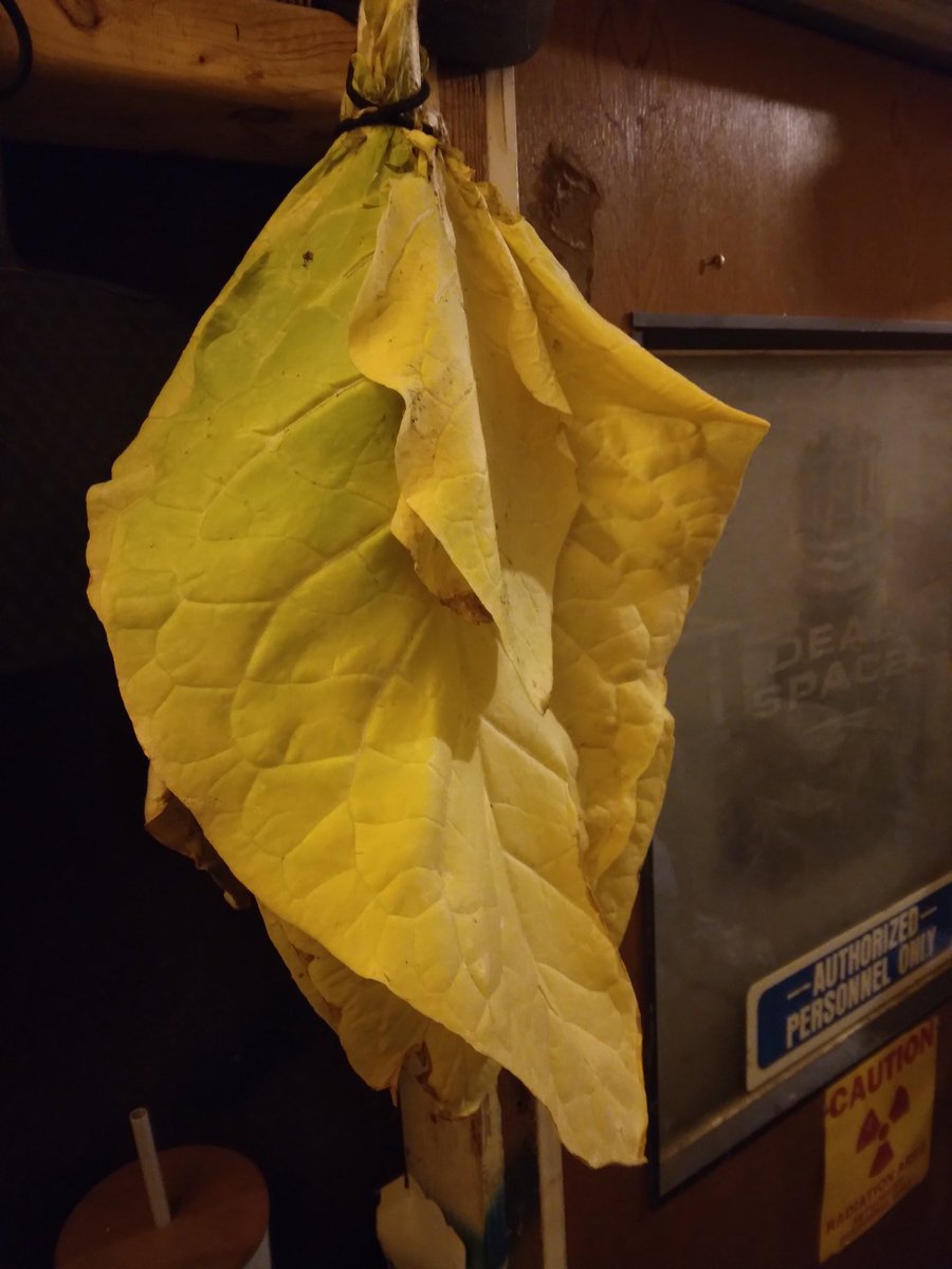 FieldButcher's tweet image. 