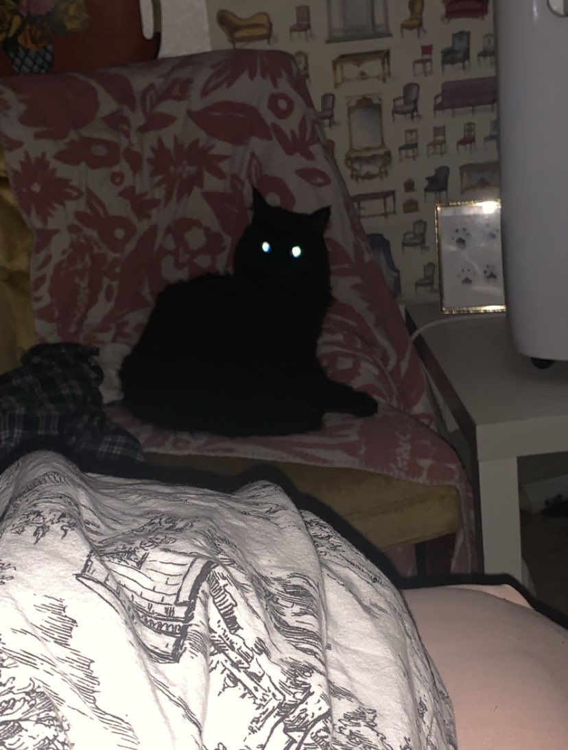 binx (@binxeveryday) on Twitter photo 