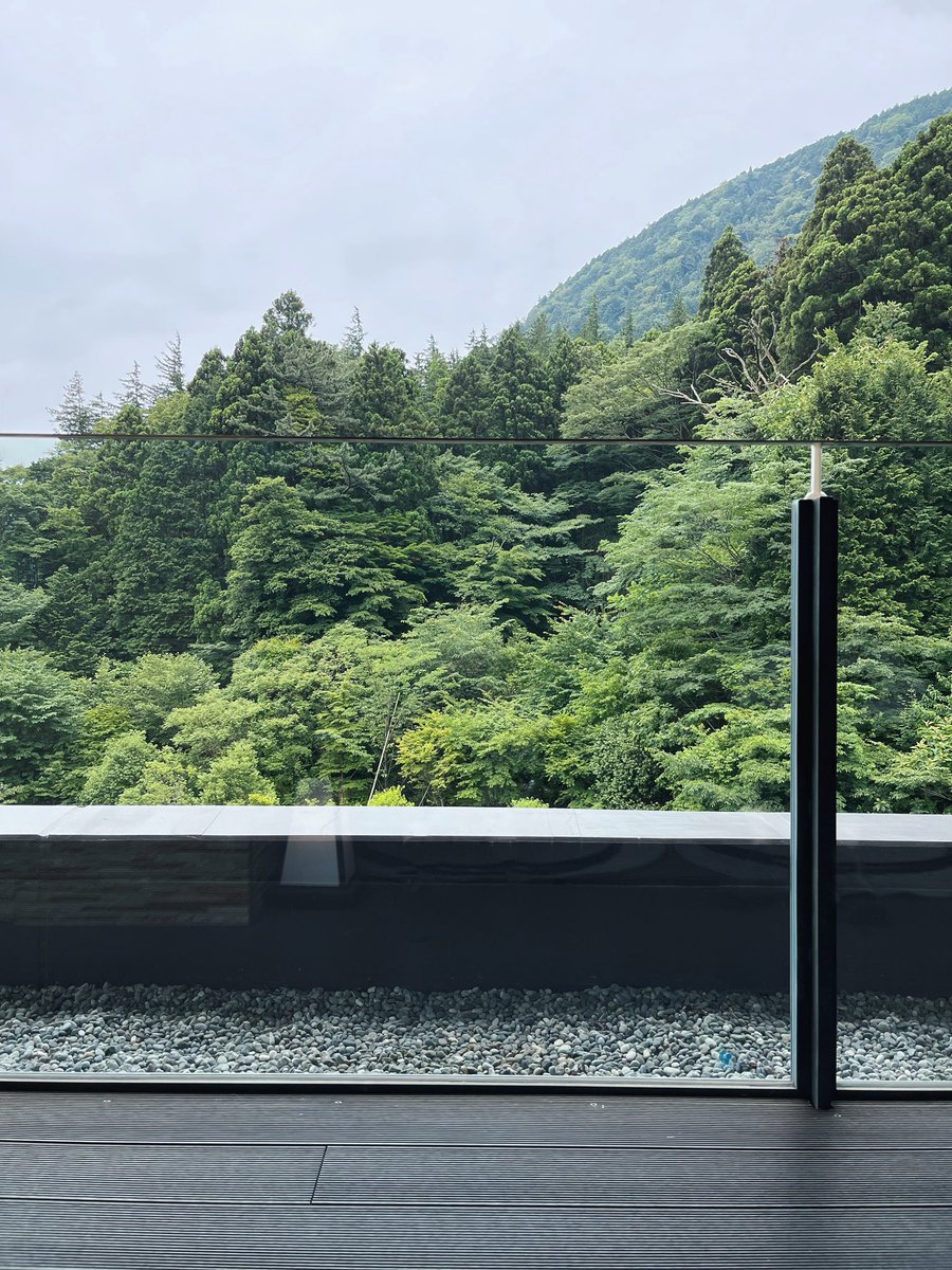 kim anh hoang tweet media