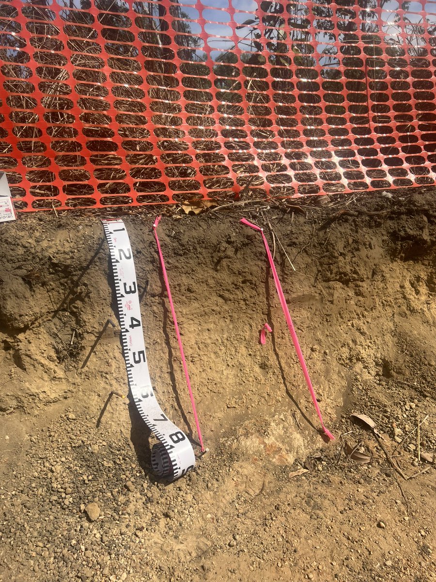 SA Soil Science tweet media