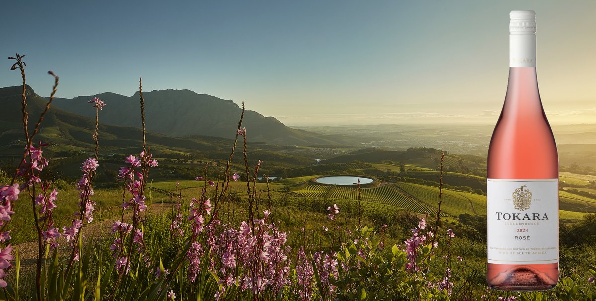 Today we're celebrating #InternationalRoséDay with the first release from our #Harvest2023! Fresh, crisp and bursting with juicy berry flavours, Tokara Rosé 2023 is made from 100% Shiraz grapes grown on our farm in Stellenbosch. bit.ly/3NLobl4