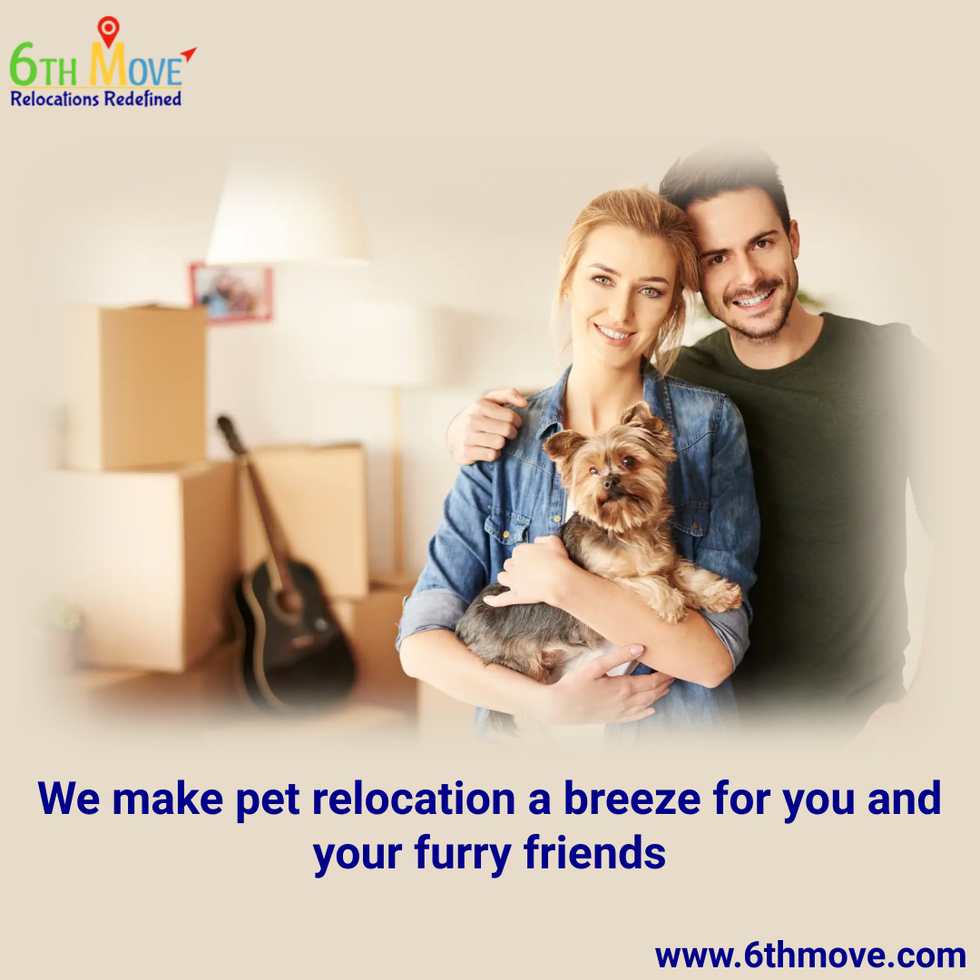 6thmove's tweet image. 🚚 Moving with your beloved furry friends? Look no further! 6th Move Relocations is here to ensure a stress-free and safe journey for your precious pets! 🐶🐱
To know more please visit 6thmove.com
Or contact - query@6thmove.com | +971 54 55 11 666

#petrelocation