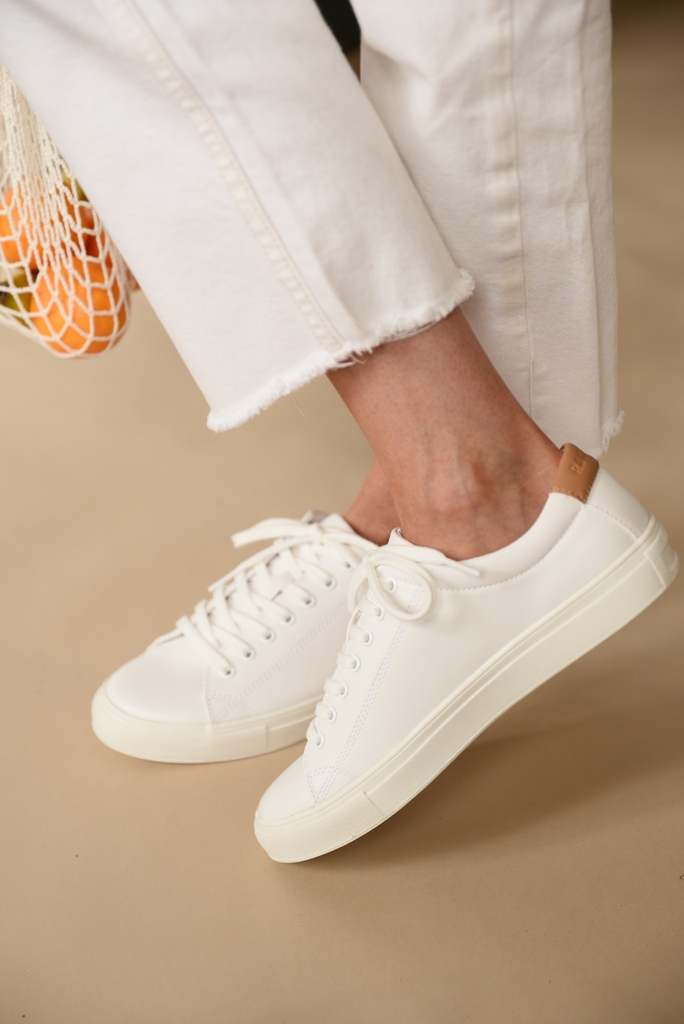 Immaculate Vegan tweet media