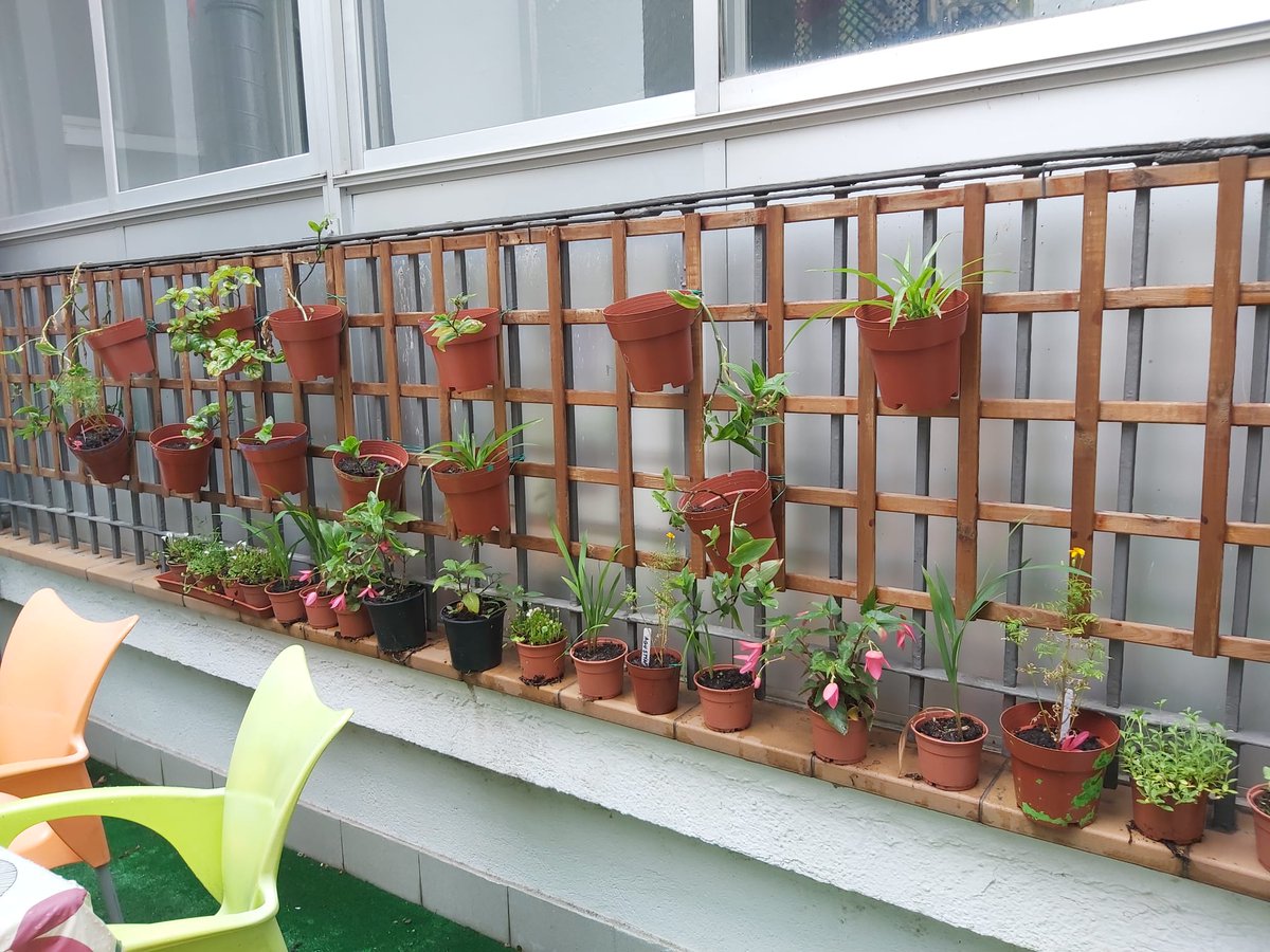 Un año más participamos #florecevallecas

🌼Te invitamos a votarnos en el evento de esta tarde 23-J a partir de las 17.30h en el espacio vecinal La Palmera y el Laurel
📍C/Melquiades Biencinto 60
🏅Entrega de Premios
🎉 Fin de fiesta

#construyendobarrio
#VallecasSeQuiere