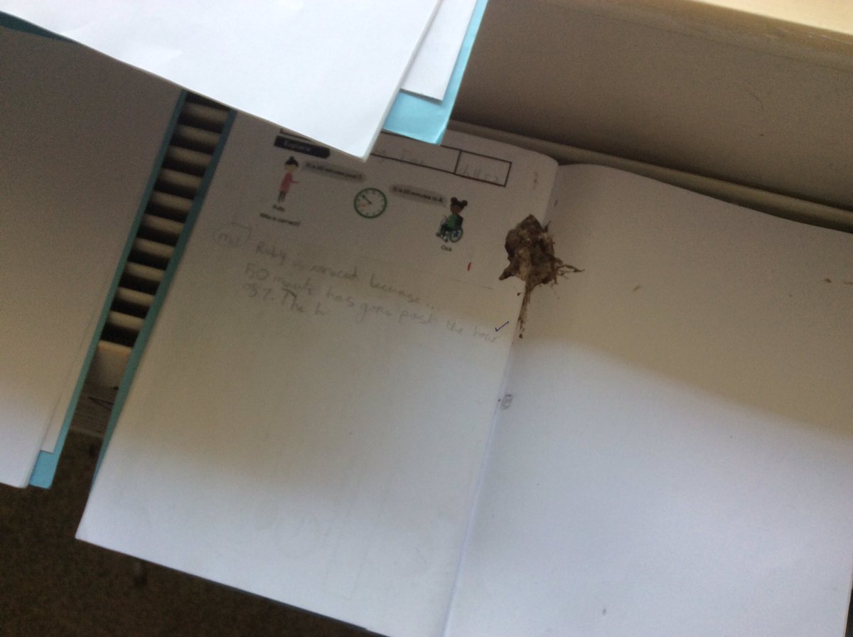 FPS_2_OwlBabies's tweet photo. Yesterday we had a very unexpected visitor fly in to our classroom whilst we were doing maths! π¦ They also left us a few unwanted gifts in our booksππ Fortunately we manage to evict the visitor safely π What a story to tell... #fpsmaths https://t.co/wfHxXKoAE5