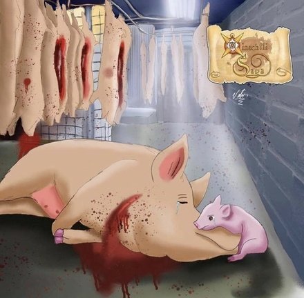 Angie KaranⓋ🌱 tweet media