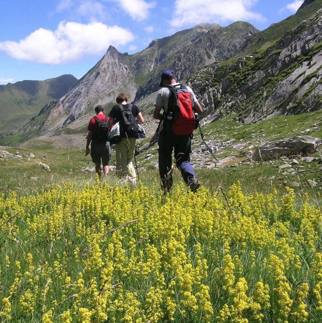 🥾El 1 de julio comenzamos nuestras excursiones guiadas gratuitas‼️

👉 Si lo que quieres es conocer nuestro paraíso de montaña, ¡te lo ponemos my fácil! Inscríbete, cálzate unas buenas botas ¡y a caminar!