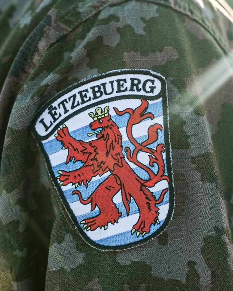 Retweet to join us in celebrating our Ally 🇱🇺 #Luxembourg on #nationalfeierdag!  

#WeAreNATO 🤝 @LuxembourgNATO